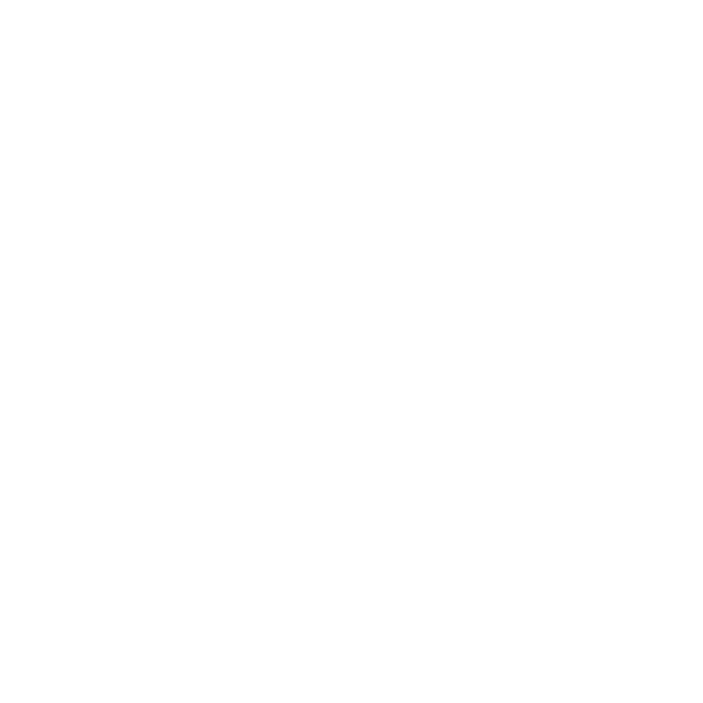 Flow Logo