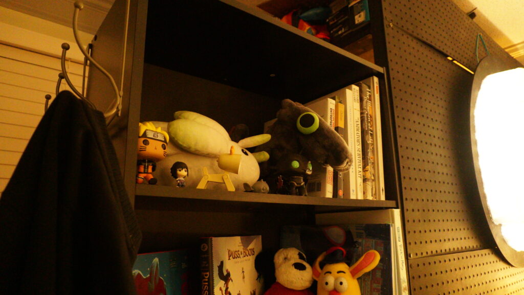 Shelf detail shot