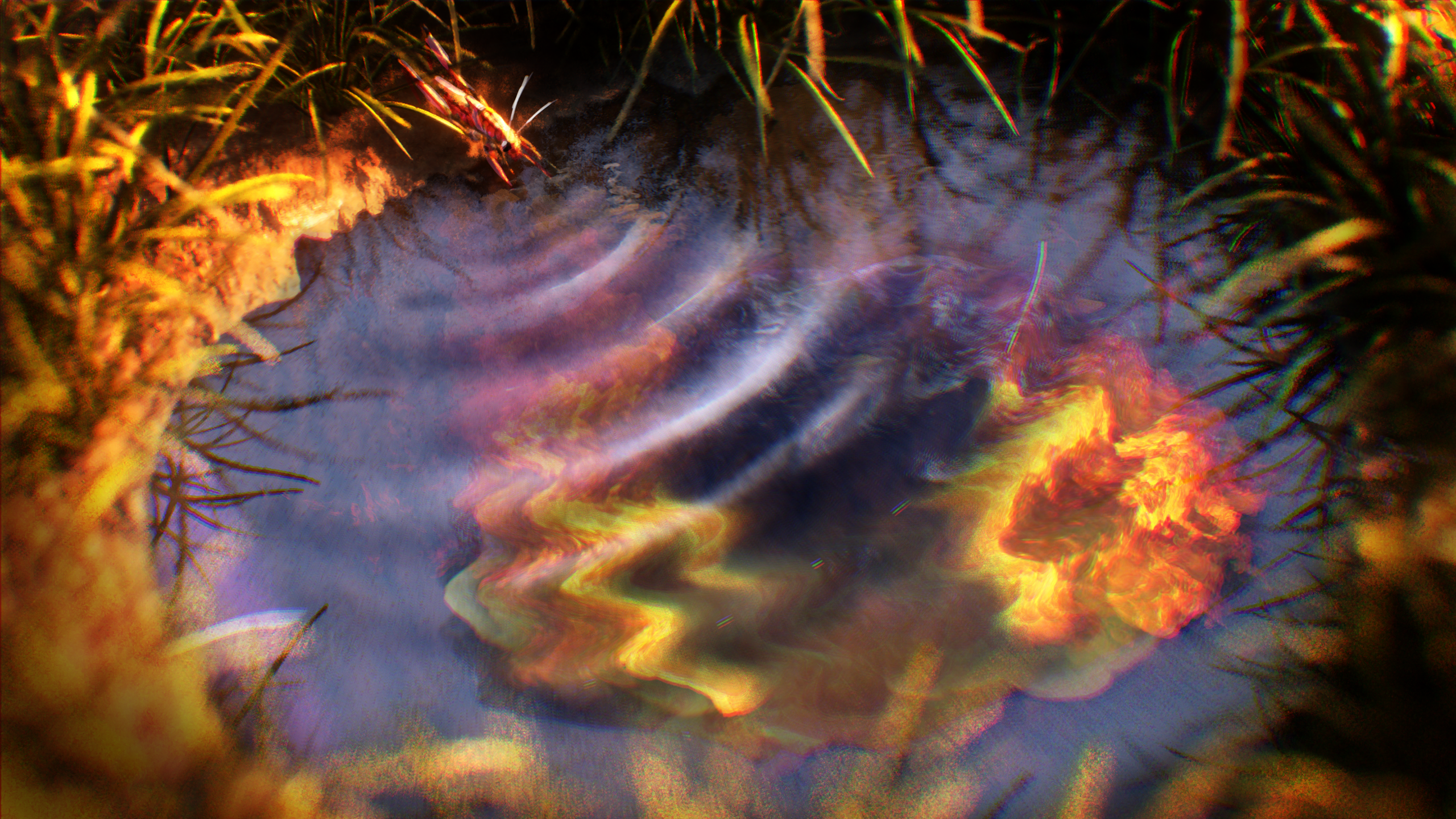 Flow Image